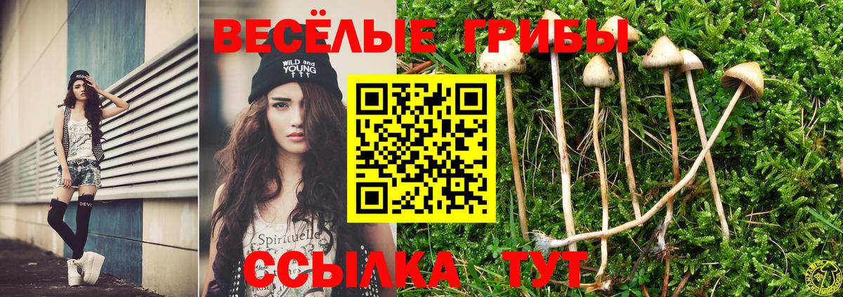 Псилоцибиновые грибы Cubensis  Вход с VPN  купить закладку  Слободской 